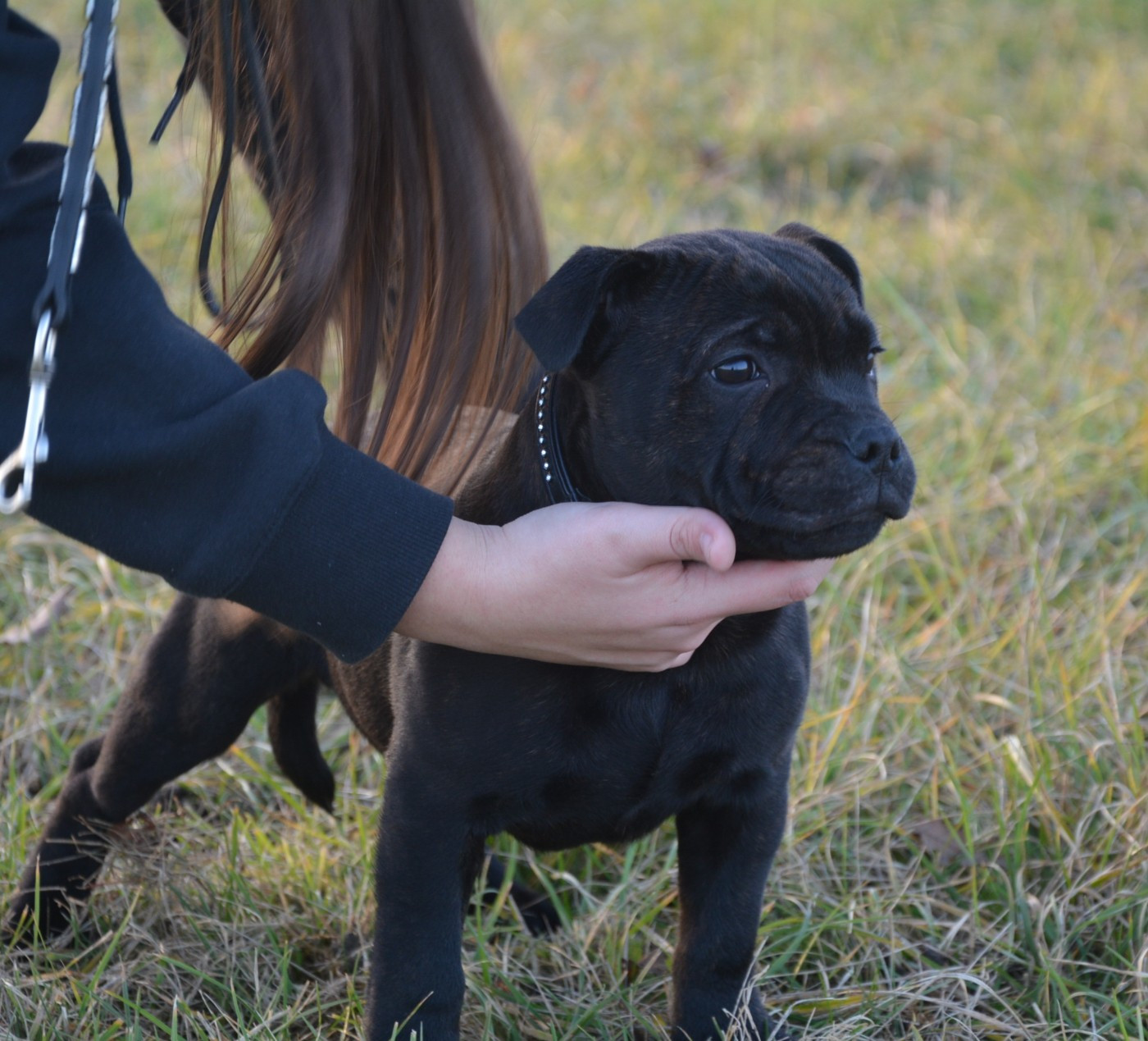 Multi Generation absolute dream