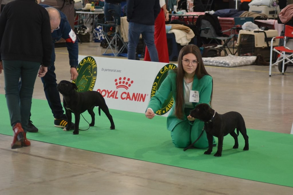 Première exposition pour absolute dream (Atchy)