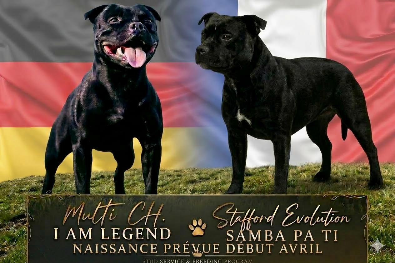 Naissance prévue debut avril